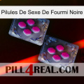 Black Ant Sex Pills 01